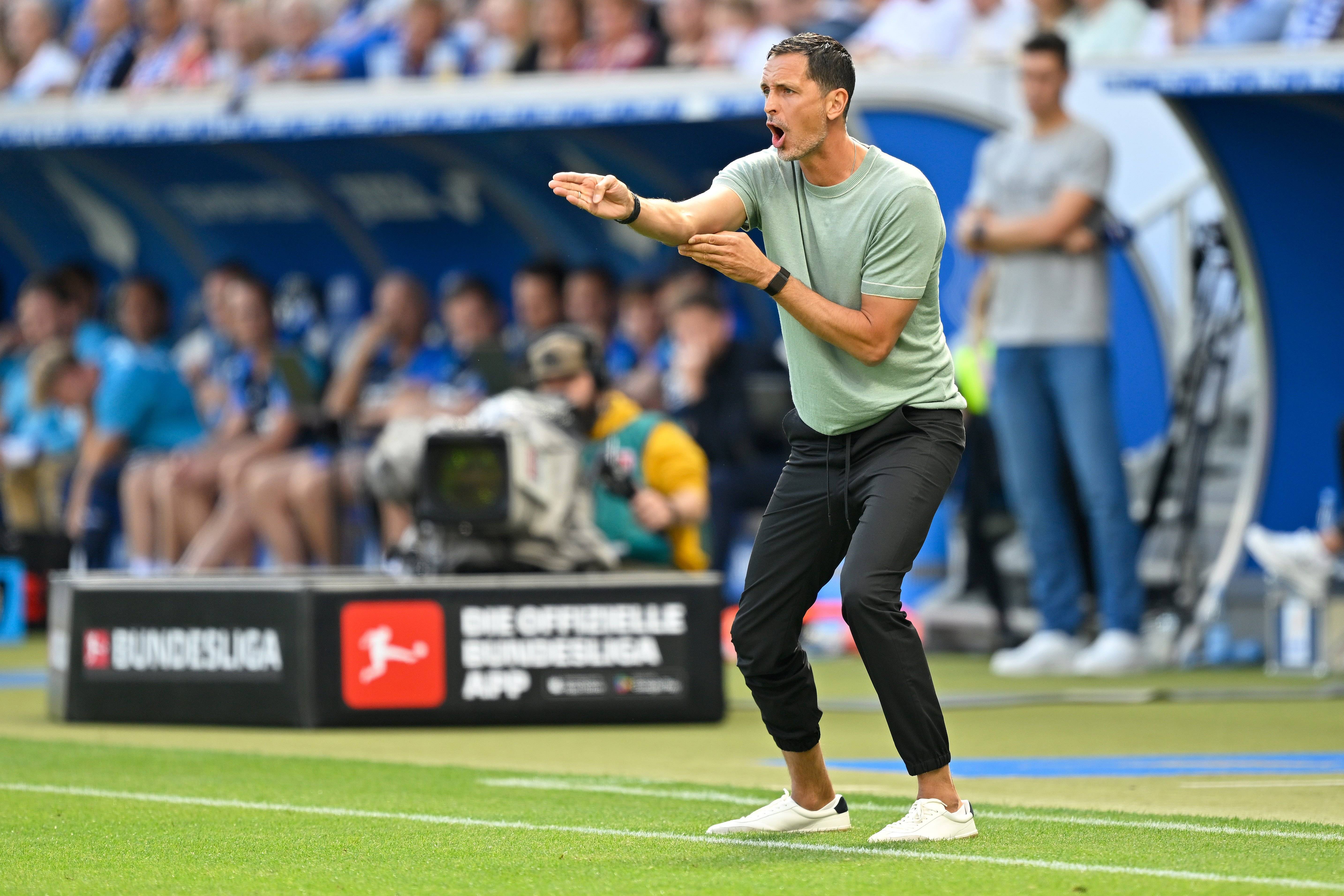 （体育）足球——德甲：法兰克福胜霍芬海姆